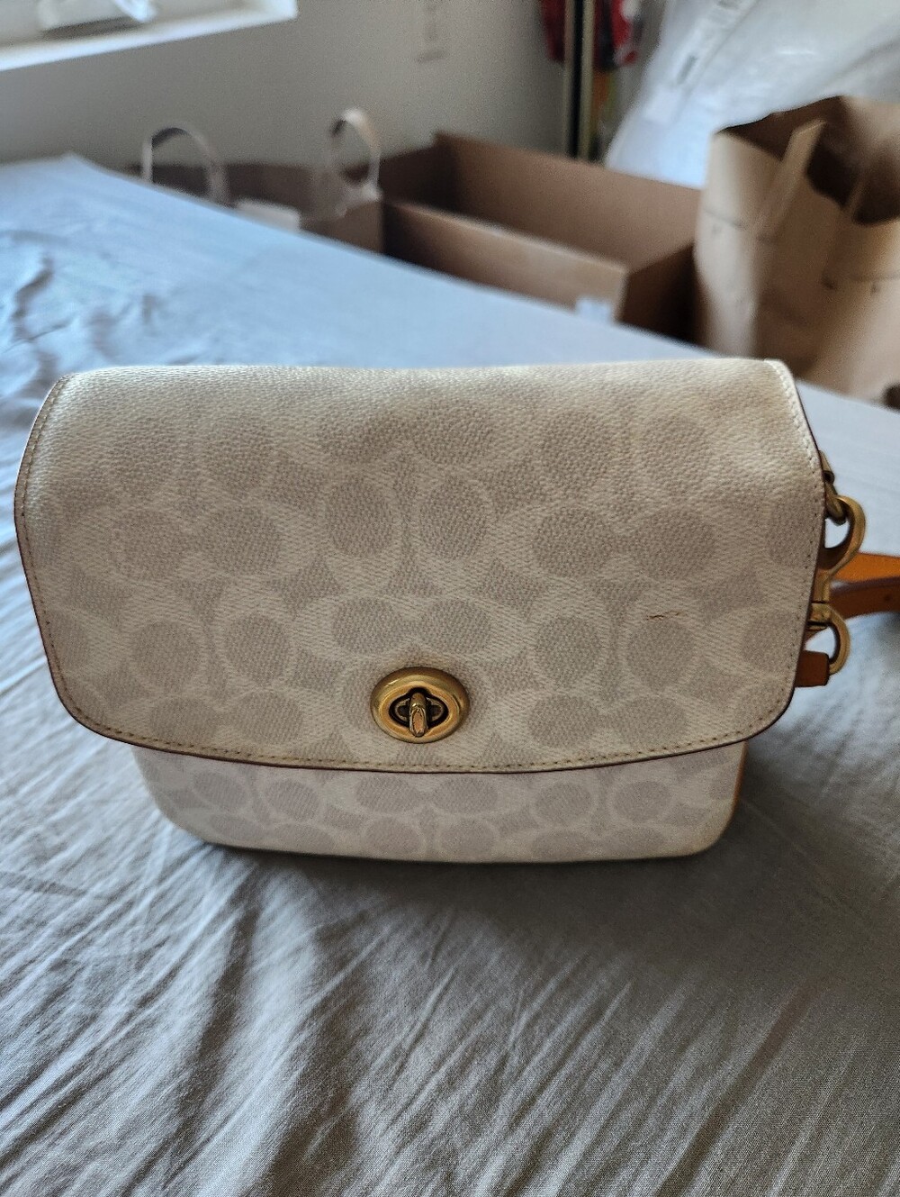 Coach Cassie 19 Crossbody Bag in Colorblock Signature Chalk Pollen